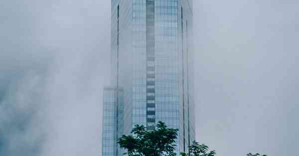 佛跳墙vqn最新版